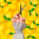 Севильский цирюльник