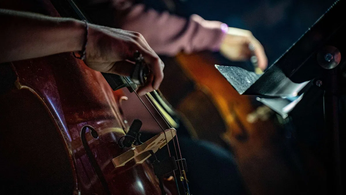 Sinteza Orchestra. Караоке с оркестром