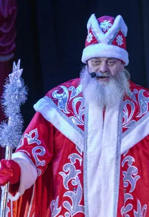 Новогодняя  котовасия