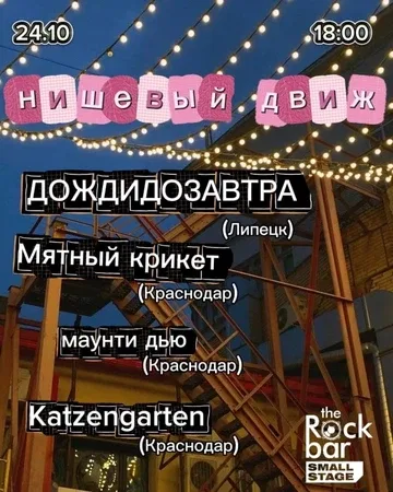 НИШЕВЫЙ ДВИЖ | 24.10 | Краснодар | Rockbar Small