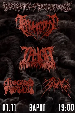 Traumatomy • 01.11 • Томск (Варяг)