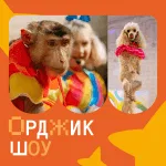 Орджик шоу | Шоу с животными