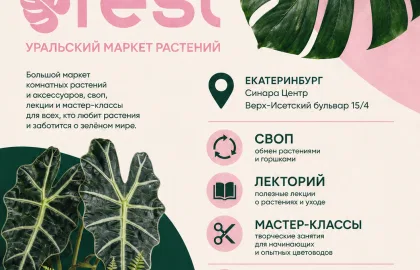 Уральский Маркет Растений