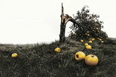 Все мои сыновья