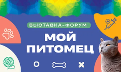 Мой питомец